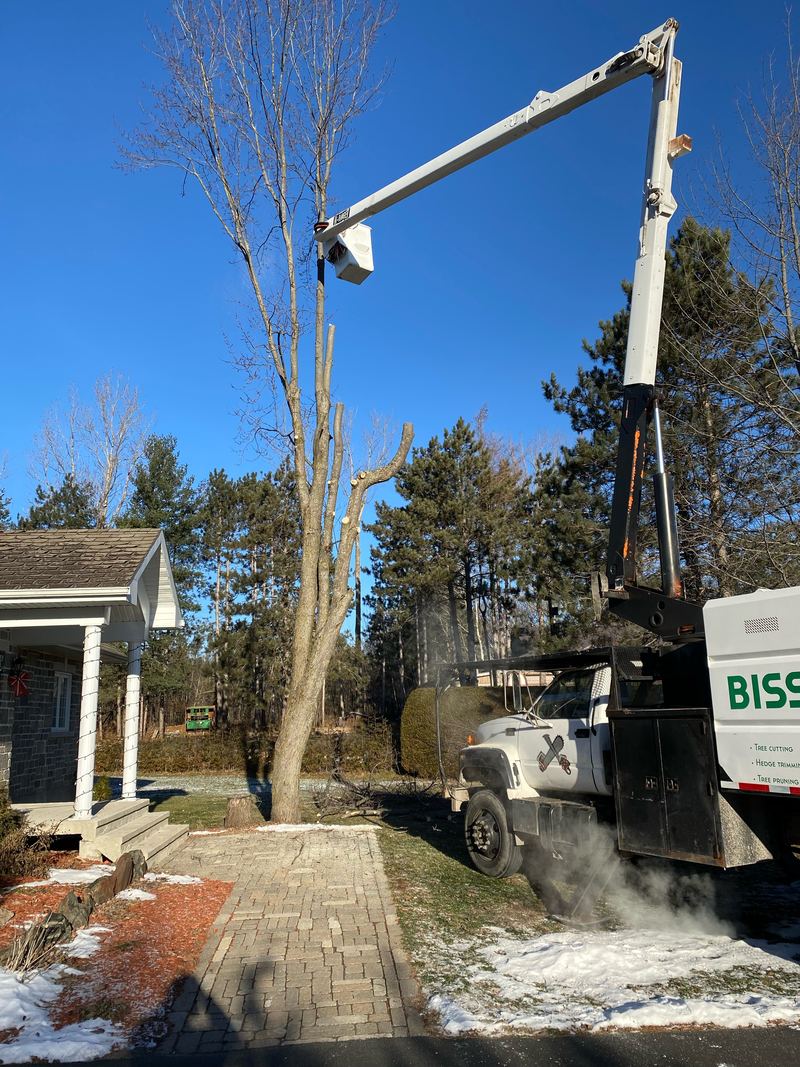 Bucket truck taking down a tall dead tree beside a house in winter