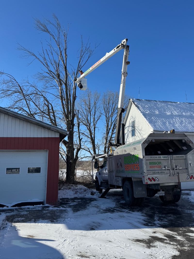 Bucket truck set up for tree pruning in winter