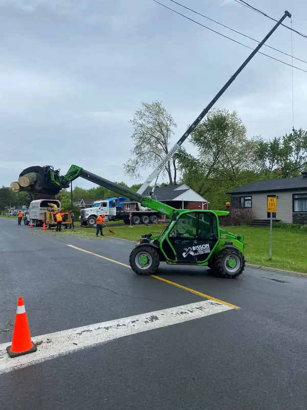 Bisson telehandler holding a log beside a crane boom during a crane-assisted tree removal on a coned-off street
