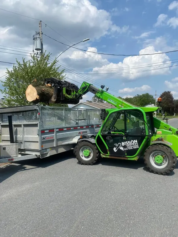 Green telehandler loading logs onto a trailer