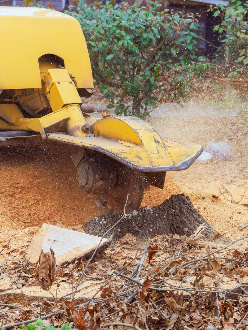 Stump grinder removing a tree stump below grade
