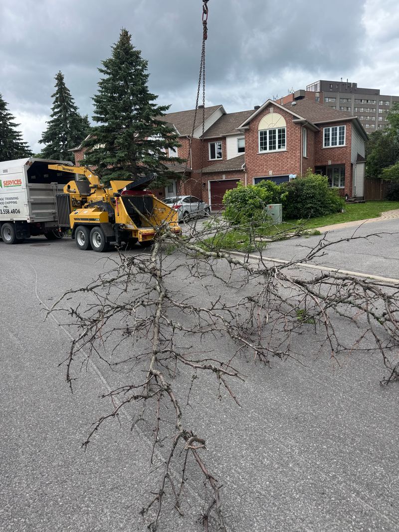 Branches laid out on a residential street beside a Bisson wood chipper and truck
